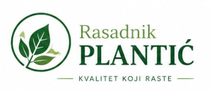 Rasadnik Plantić